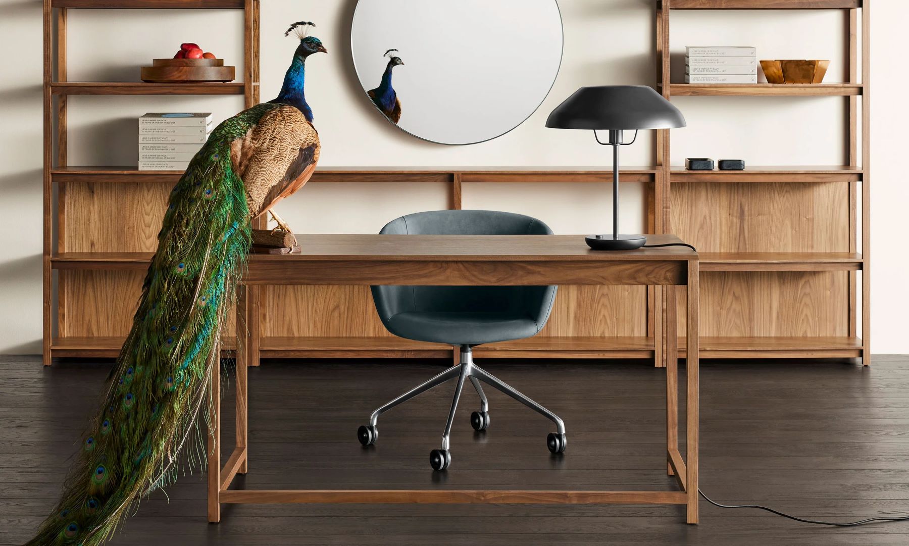 Blu Dot Furniture